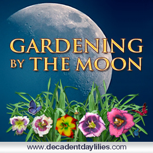 How to garden by the moon