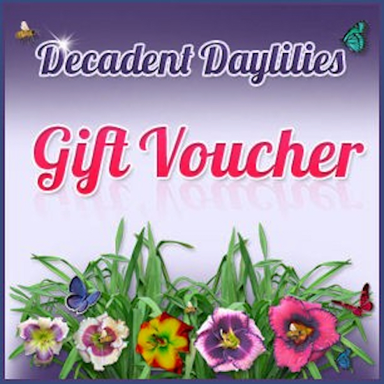 Decadent Daylilies Gift Voucher